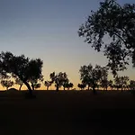 Gospodarstwo agroturystyczne Herdade Da Urgueira *