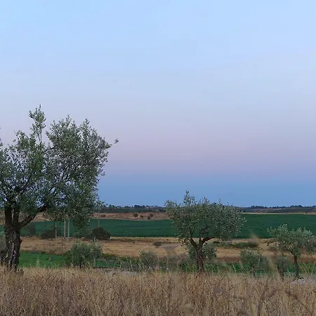 Herdade Da Urgueira Κατάλυμα σε φάρμα Vale de Pousadas