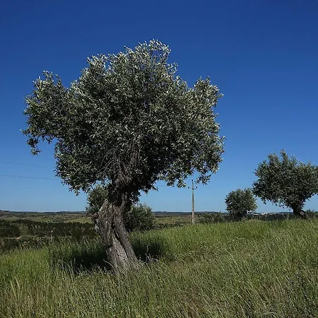 Herdade Da Urgueira *