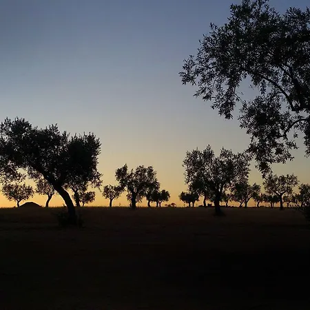 Κατάλυμα σε φάρμα Herdade Da Urgueira *