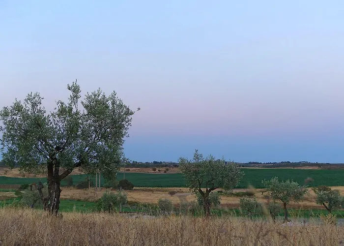 Herdade Da Urgueira Bauernhof Vale de Pousadas