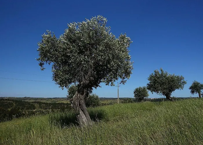 Herdade Da Urgueira *