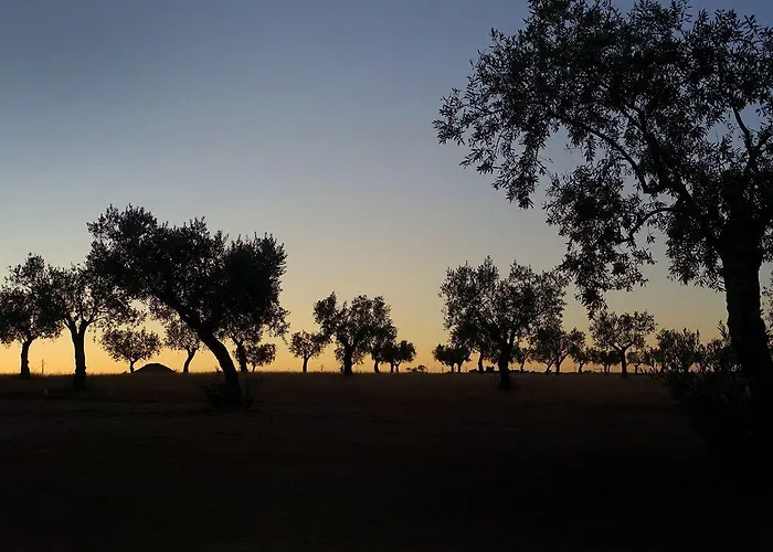 Bauernhof Herdade Da Urgueira *